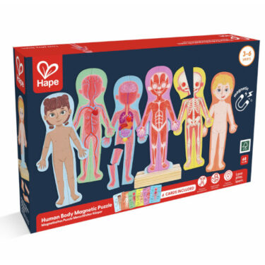 Hape Púsl - Mannslíkami - segulpúsl / Human body magnetic puzzle